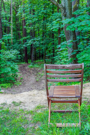 Wooden chair facing the forest in Polandの写真素材