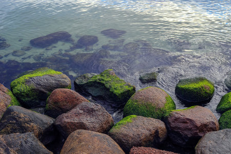 Moss-covered stones sticking out of the water in Polandの写真素材