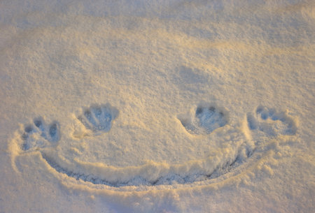 Face sign in the snow in Polandの写真素材
