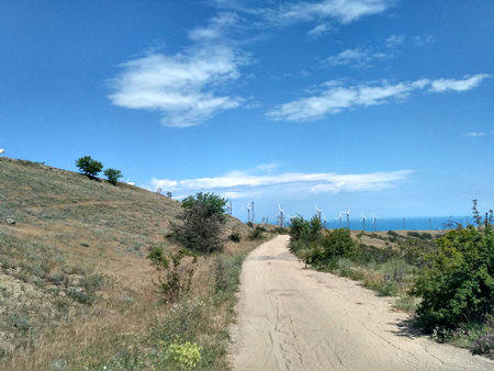 Road into the distance