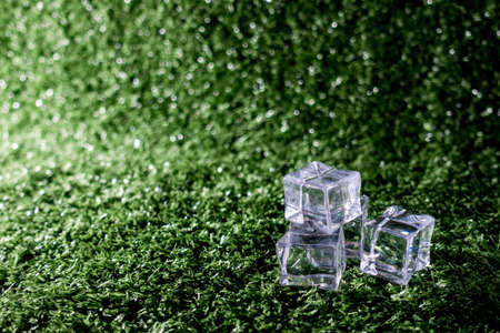 Ice cubes and grassの写真素材