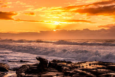 Golden ocean sunsetの素材