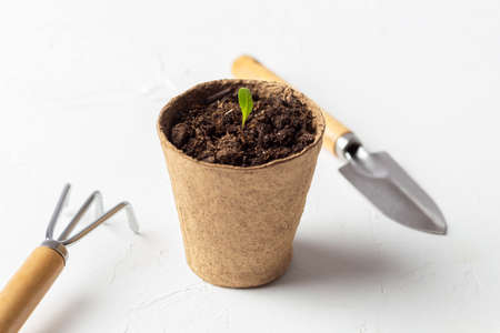 pot with earth rake and shovelの写真素材