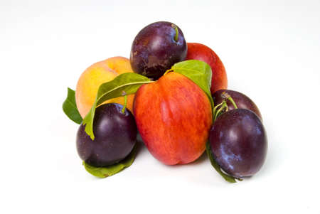 Plums And peaches On Whiteの写真素材