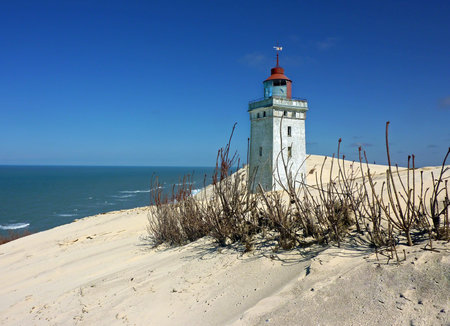 dune and lighthouse in Denmarkの写真素材