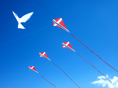 Kite on the beach of Denmarkのeditorial素材