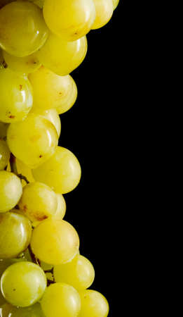 Close-up picture of bunch of white grapes with text spaceの写真素材