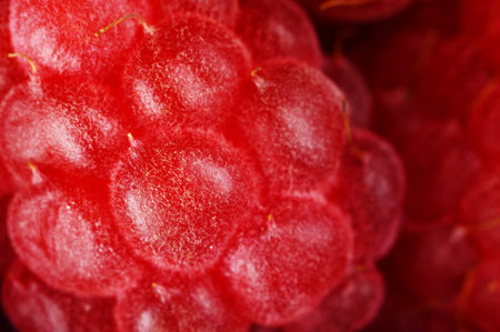 Closeup macro view of fresh raspberries