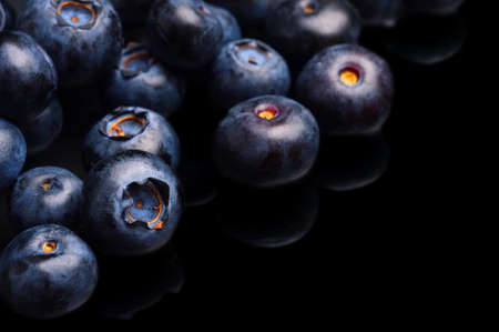 Many blueberries isolated on black background in the cornerの写真素材