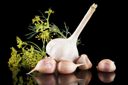 Garlic cloves with ingredients for canning on black background with fennelの写真素材