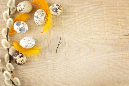 Blank wooden plank with easter decoration-quail eggs and grey catkins and orange feathers