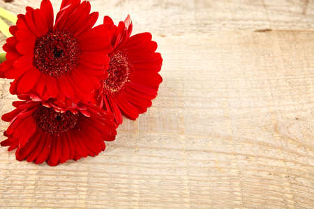 Close up view of gerbera flowers on wooden plank, boardの写真素材