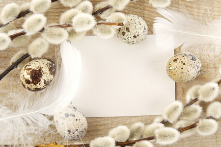 Blank card for easter greetings on wooden plank with quail eggs, catkins and white hen feathers