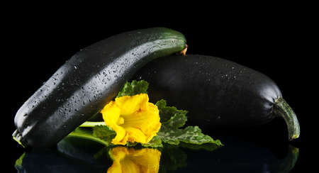Mature two courgettes with flowers on black backgroundの写真素材