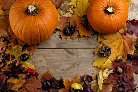 View from above of pumpkins for thanksgiving day with autumn leaves