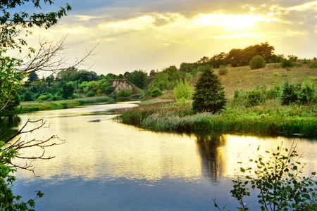 Summer sunset by the river with gold reflections on water surface