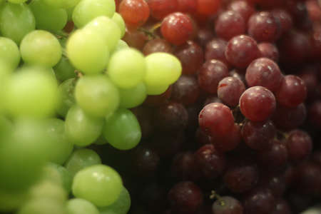 Grapesの写真素材