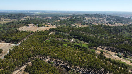 Drone shot over Portugal countrysideの写真素材