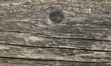 Old wood texture closeup. Weathered wood backgroundの写真素材