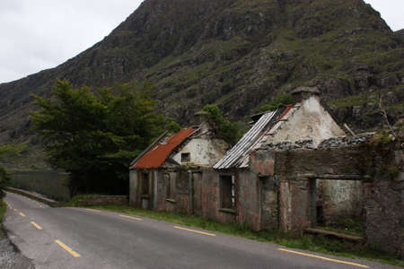 Derelict Houses in Ireland along the main road with trees on the backgroundの写真素材