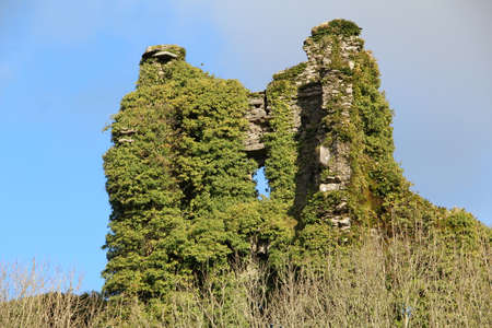 Castlemore Castle Cork Irelandのeditorial素材