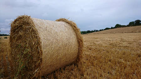 Rolled hay baleの素材