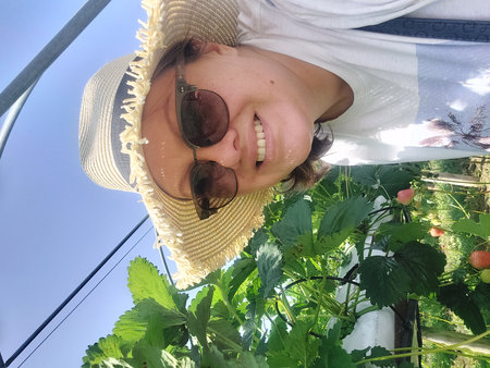 Woman in hat and sunglasses on the background of strawberry bushes in the gardenの写真素材