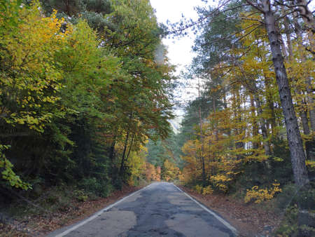 Road to the Ordesa meadowの写真素材