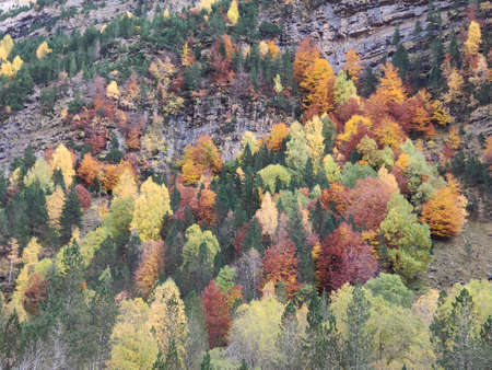 Ordesa National Park in autumnの写真素材