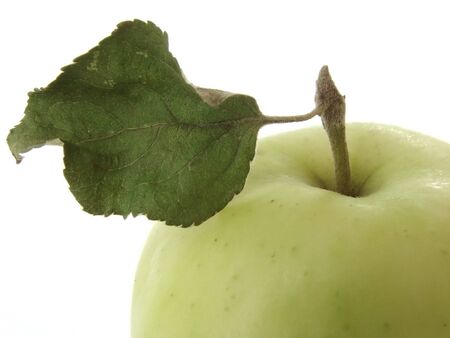 wild apple fragment at the white background                               の写真素材
