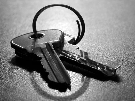 two keys with key ring in the backlight                               の写真素材