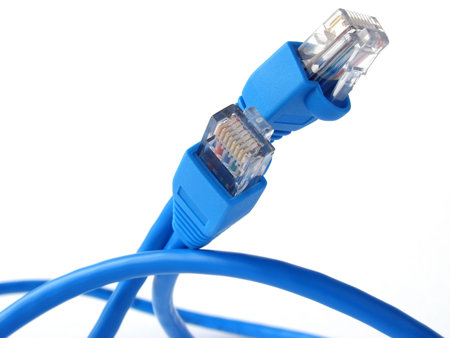 blue network cable with connectors                               