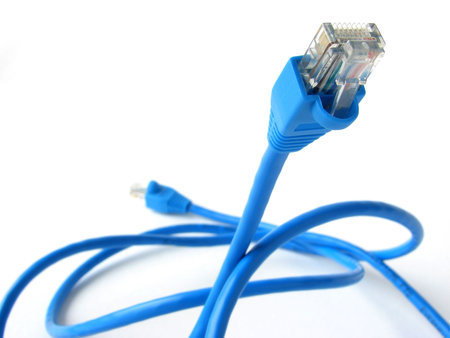 blue network cable with connectors                               