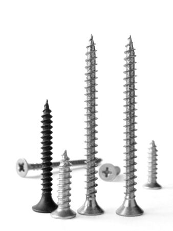 assorted screws on white background                               の写真素材