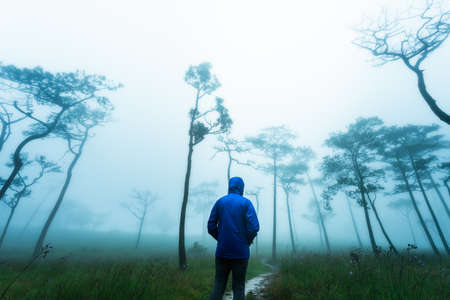 Man exploring the deep forest of Phu Soi Dao, Thailand.の写真素材