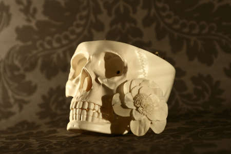 Skullの写真素材