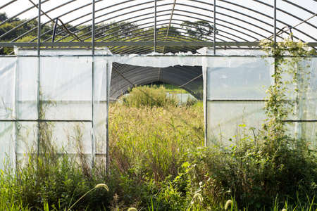 The neglected vinyl house.の写真素材