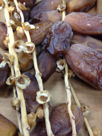 Kurma 