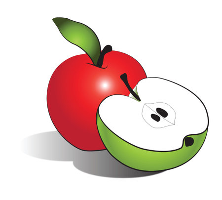 Red and green apple cut isolated on whiteのイラスト素材