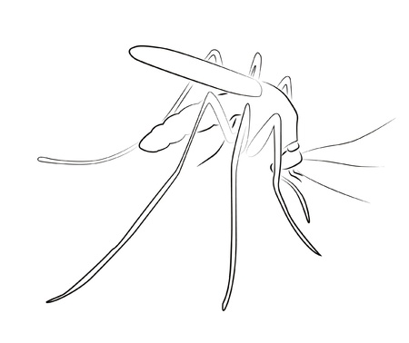 Mosquito silhouette isolated on whiteのイラスト素材