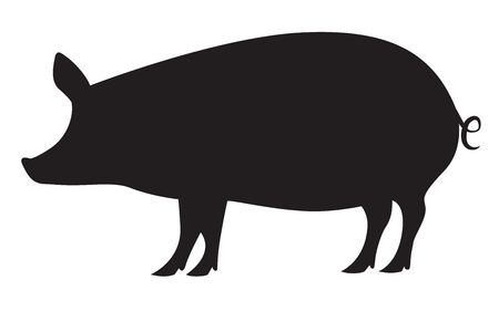 Pig silhouette isolated on whiteのイラスト素材