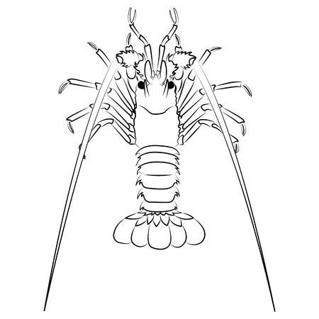 Lobster silhouette isolated on whiteのイラスト素材