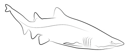 Shark Simplified Contour Silhouetteのイラスト素材