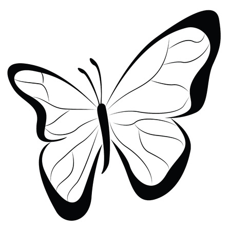 Butterfly isolated on whiteのイラスト素材