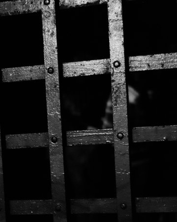 Close of up of black and white grill