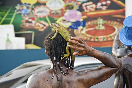 SANTO DOMINGO, DOMINICAN REPUBLIC - MARCH 3: Unidentified painted man holding an iguana parading during Sto Domingo Carnival on March 3, 2013 in Santo Domingo, Dominican Republic.のeditorial素材