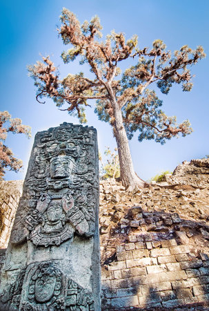 Ancient Maya Statue at Copan, Hondurasの写真素材