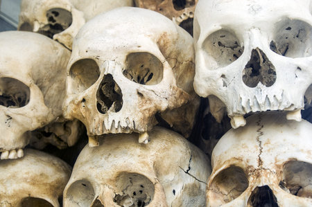 Piled up human skulls