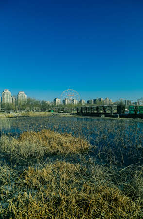 Winter lake scenicのeditorial素材