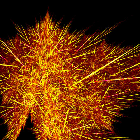 Prickly